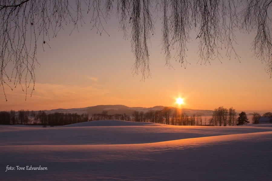 The sunset is coloring the snow