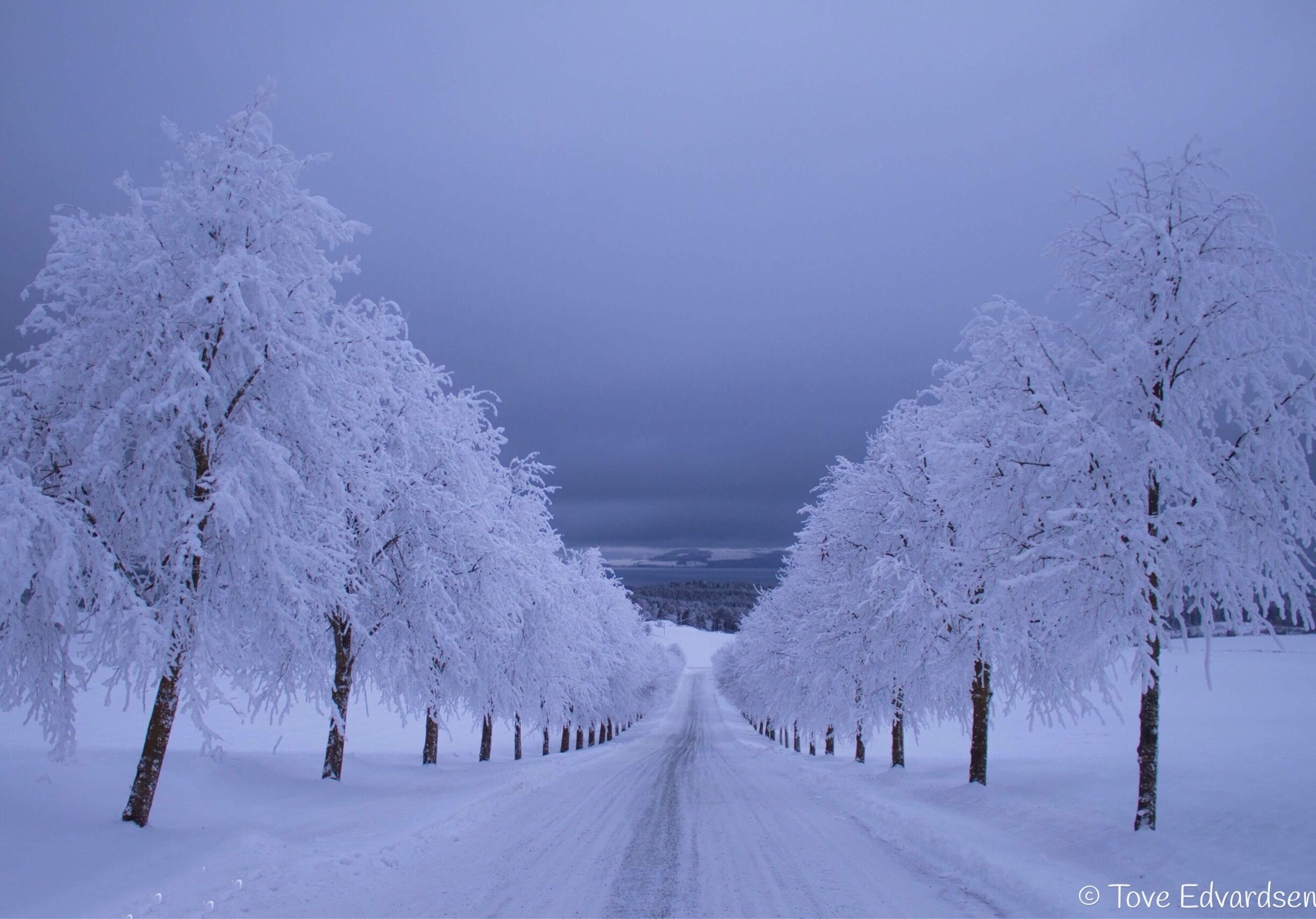 Cold winter in Stange