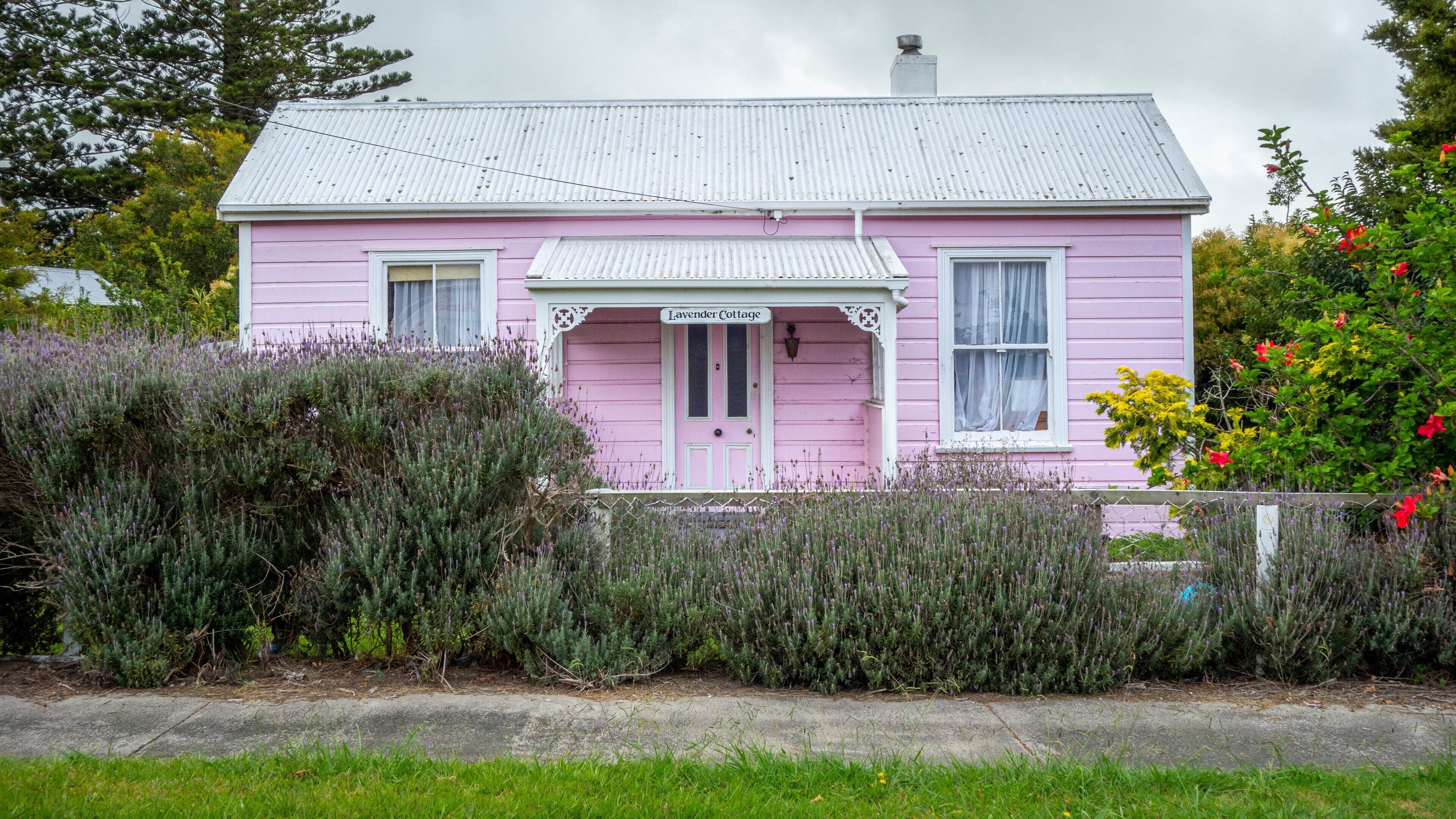 Dargaville featuring a house
