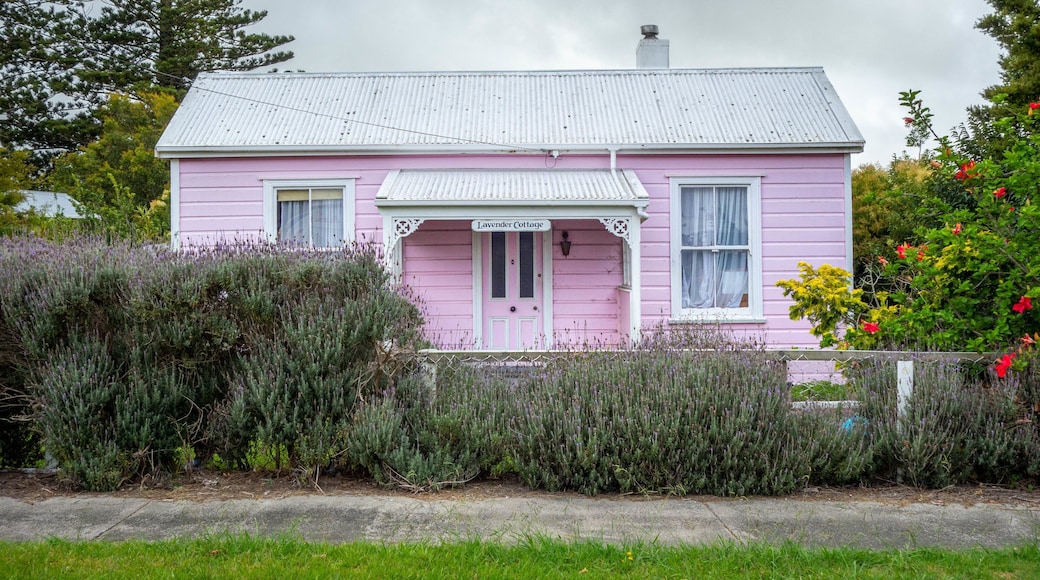 Dargaville featuring a house