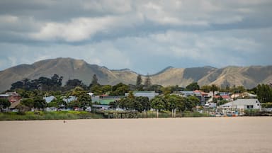 Dargaville showing a beach and a coastal town