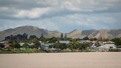 Dargaville showing a beach and a coastal town