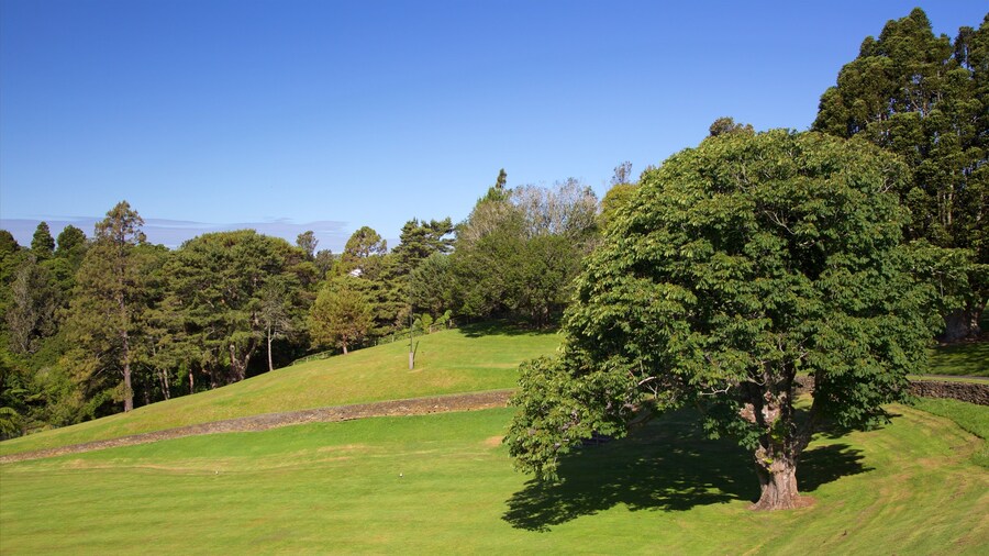 Bowl of Brooklands featuring a garden