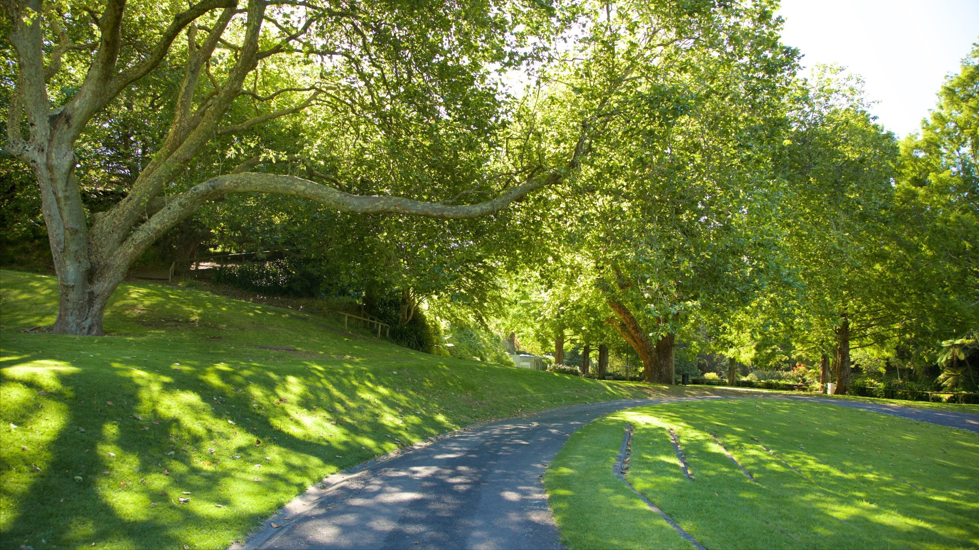 Bowl of Brooklands showing a park