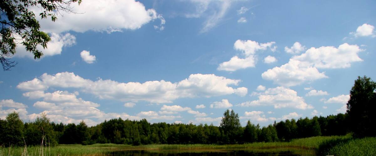 A calm lake surrounded by lush greenery and trees under a partly cloudy sky.