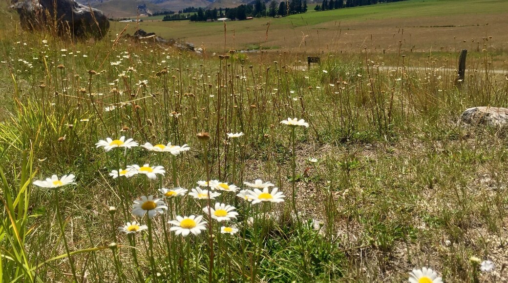 A lovely sunny day wondering around castle rock. Stunning views of the mountains 🏞
#GreatOutdoors