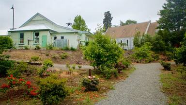 Geraldine showing a house, wild flowers and a park