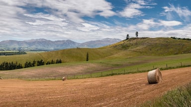Paisagem rural com colinas onduladas, fardos de feno e montanhas ao longe, sob um céu parcialmente nublado.