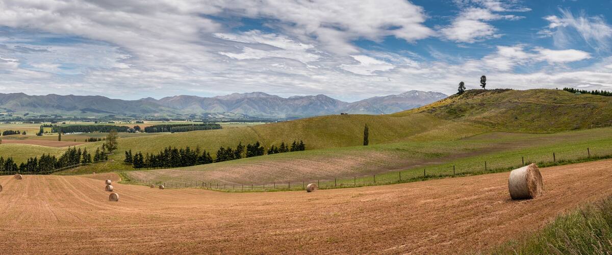 Panoramic view from the Fairlie - Geraldine lookout of straw bales sitting in a field in the rolling hills near Fairlie in the Canterbury region of New Zealand with Mount Dobson in the background