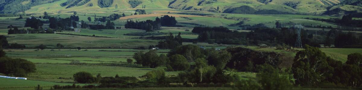 Downs and mountains north of Geraldine, southwestern end of the Canterbury Plains, Canterbury, South Island, New Zealand