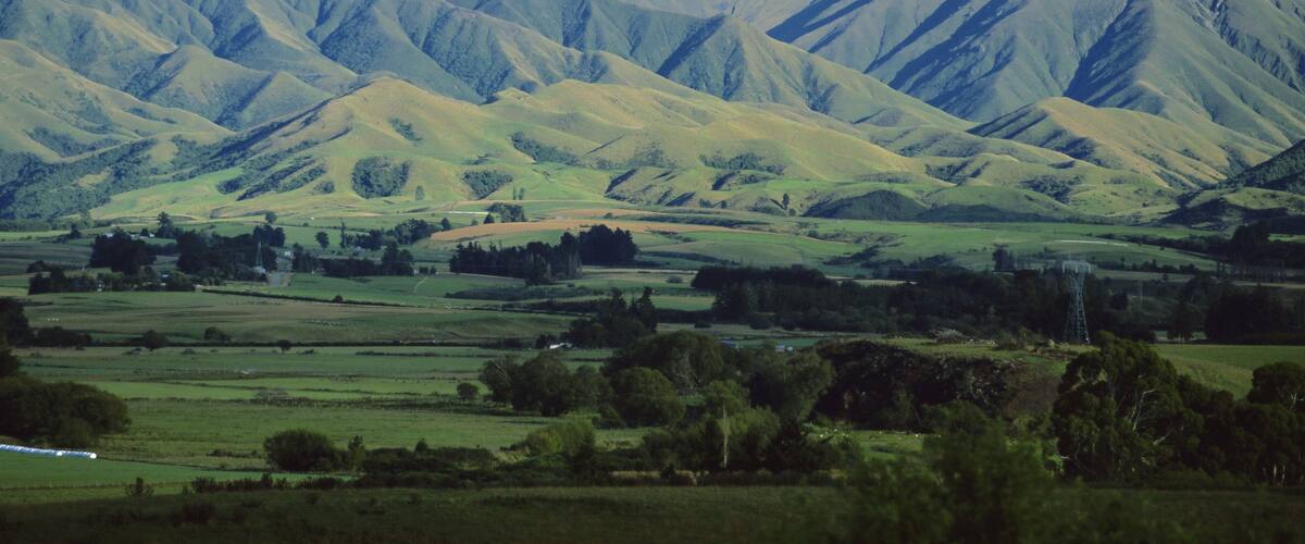 Downs and mountains north of Geraldine, southwestern end of the Canterbury Plains, Canterbury, South Island, New Zealand
