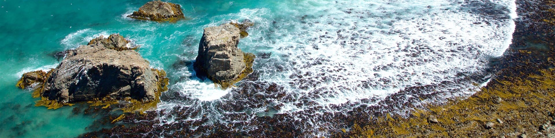Kaka Point showing rugged coastline and a bay or harbor