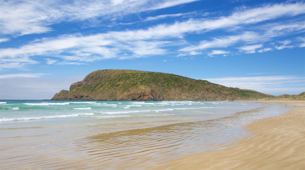 Kaka Point showing a bay or harbor, rugged coastline and a beach