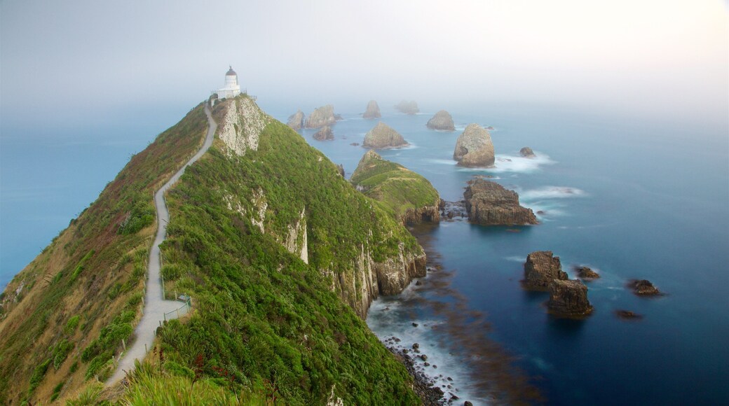 Kaka Point featuring rugged coastline, mist or fog and a bay or harbor
