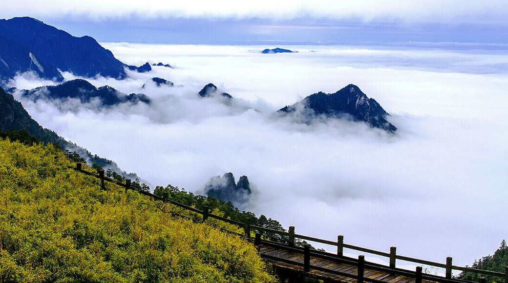 2016 The World Heritage List,Natural site—— Hubei #Shennongjia (China).
#湖北神农架.
https://twitter.com/Beautifulgx