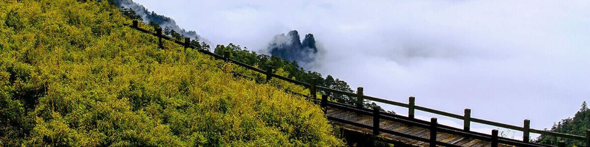 2016 The World Heritage List,Natural site—— Hubei #Shennongjia (China).
#湖北神农架.
https://twitter.com/Beautifulgx