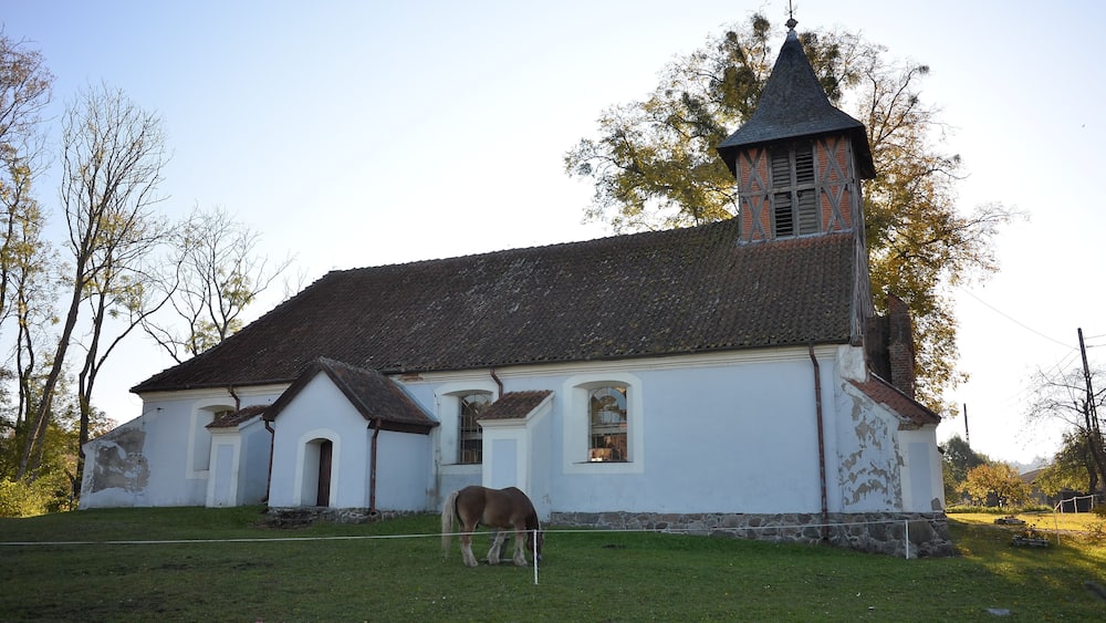 A white church with a steeple and a horse in the foreground.