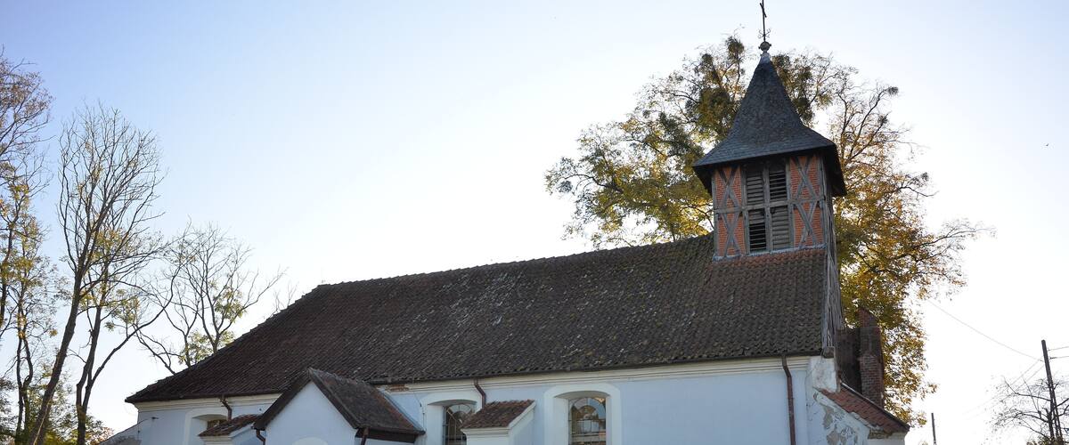 A white church with a steeple and a horse in the foreground.