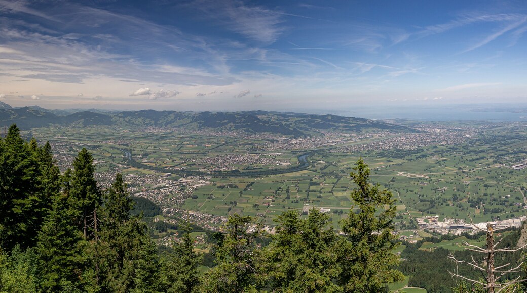 Panoramablick über das Rheintal und den Bodensee im Sommer mit Schneeresten auf den Gipfeln