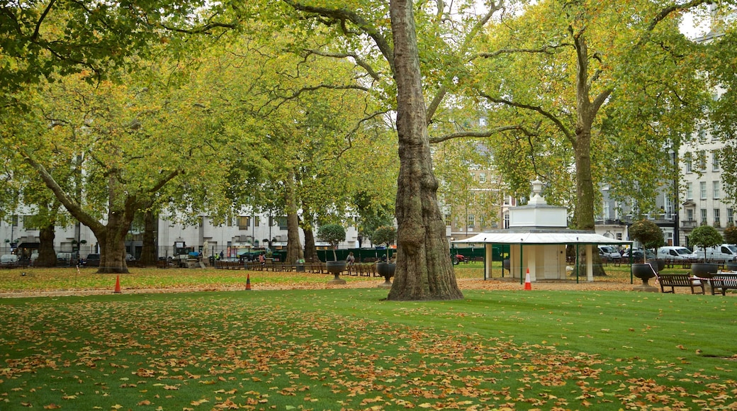Berkeley Square som viser høstfarger og park