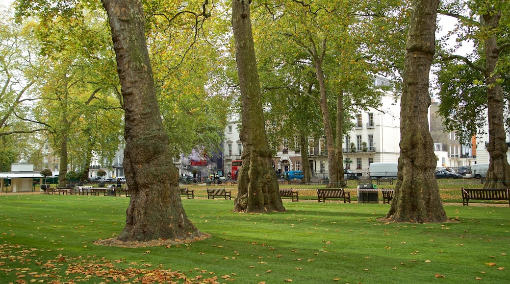 Berkeley Square which includes fall colors and a garden