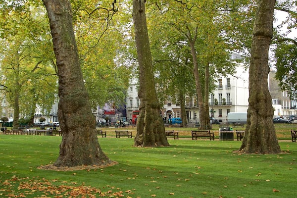 Berkeley Square which includes fall colors and a garden