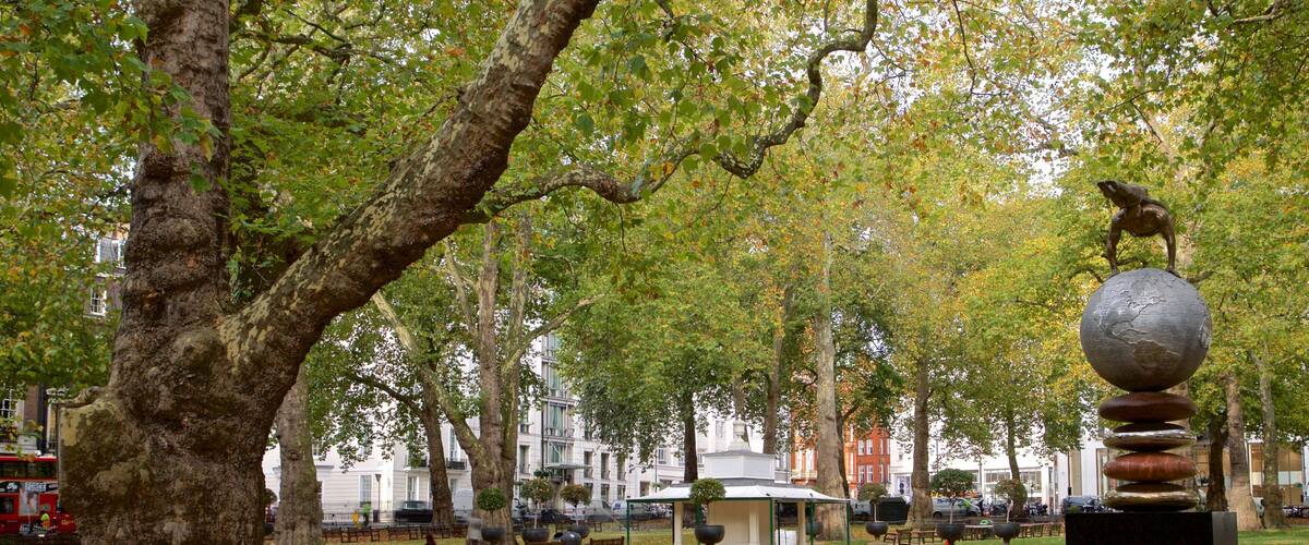 Berkeley Square showing a garden, outdoor art and autumn colours