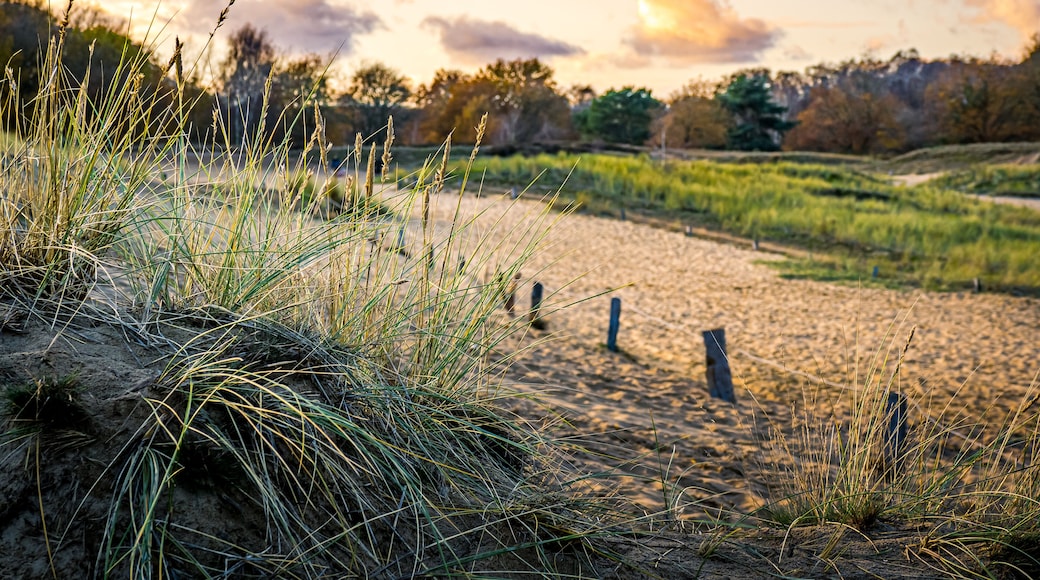 Boberger Niederung naturreservat