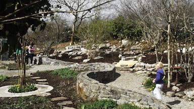A garden with a stone pathway, a small pond, and a tree.