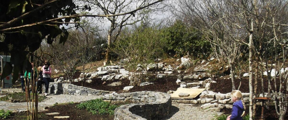 A garden with a stone pathway, a small pond, and a tree.