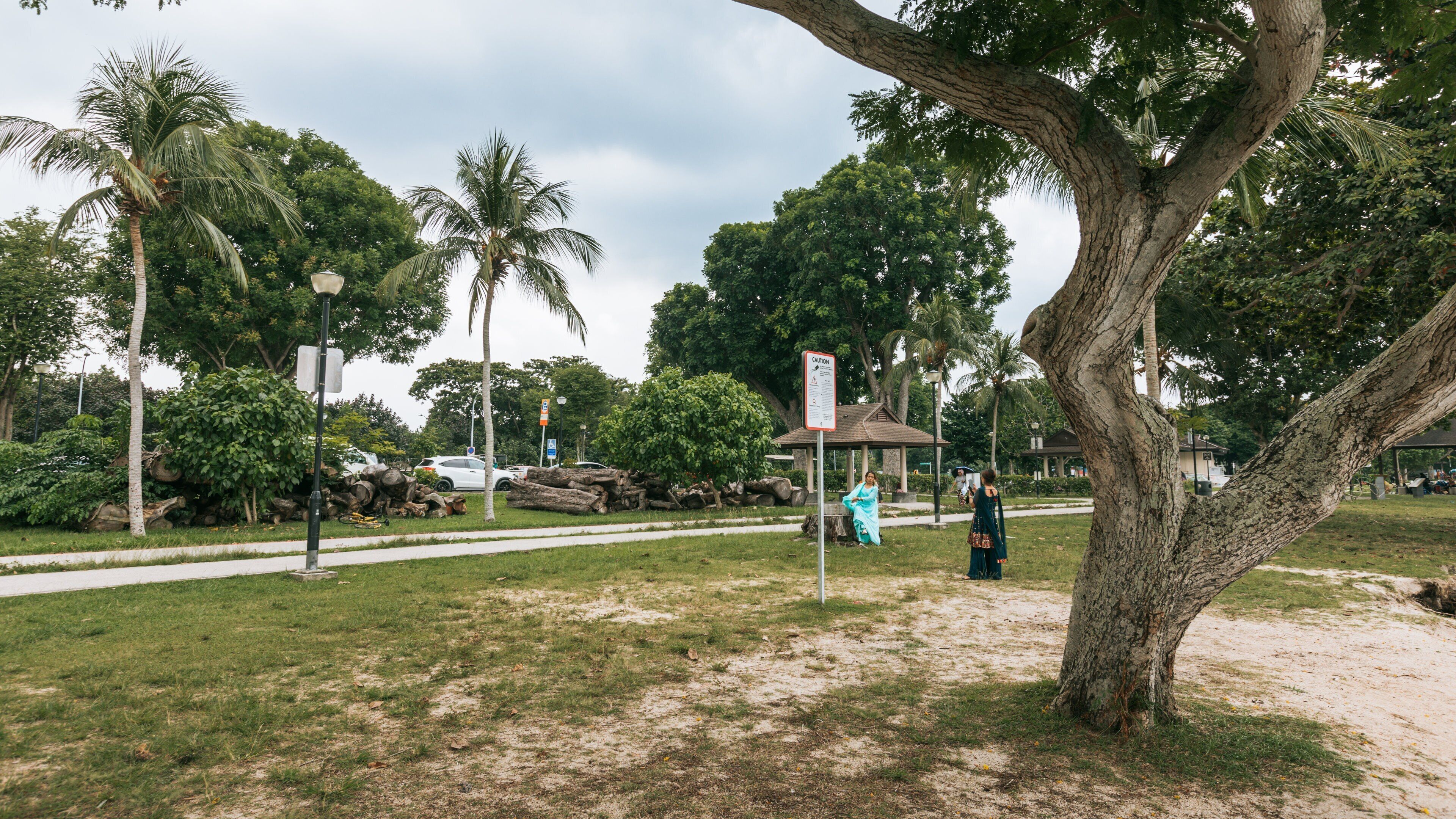 Changi Beach Park showing a park as well as an individual femail