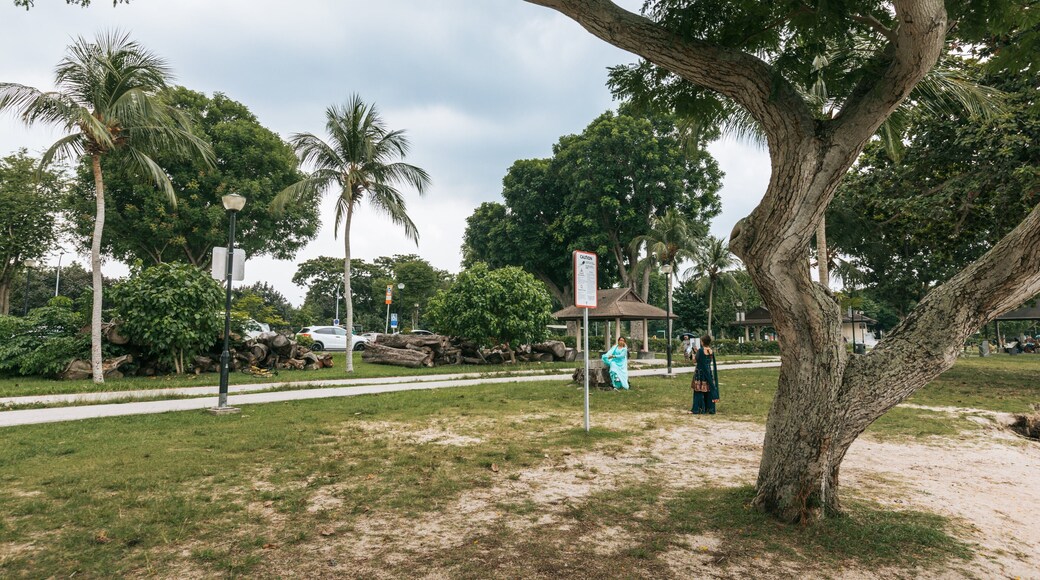 Changi Beach Park showing a park as well as an individual femail