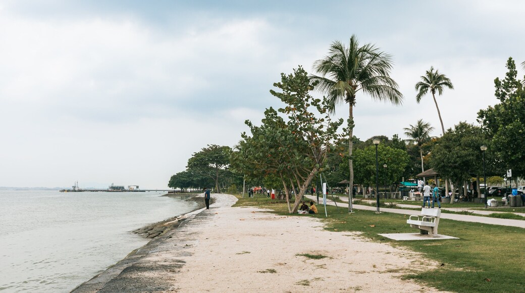 Changi Beach Park showing a garden, a sandy beach and general coastal views