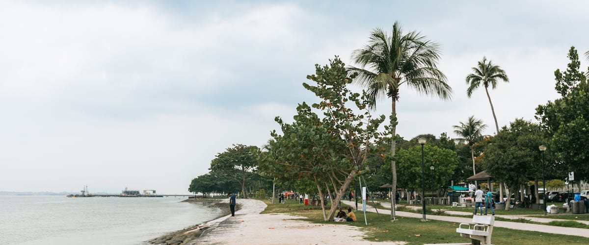 Changi Beach Park showing a garden, a sandy beach and general coastal views