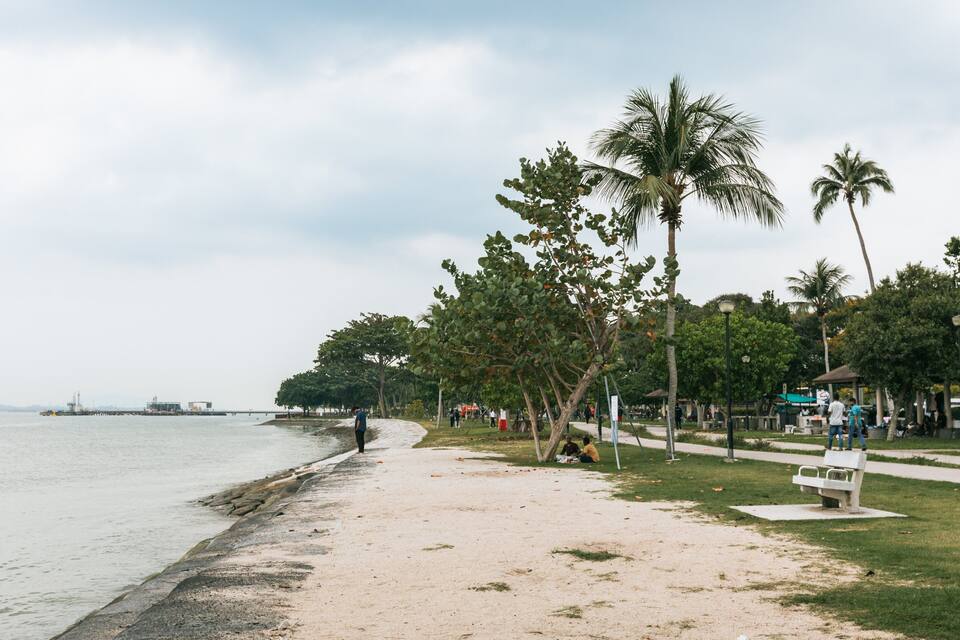 A beach with palm trees, a sandy shore, and a distant pier.