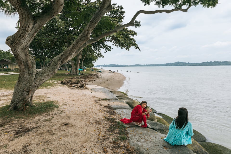 A beach with a large tree, a rocky shoreline, and calm water.