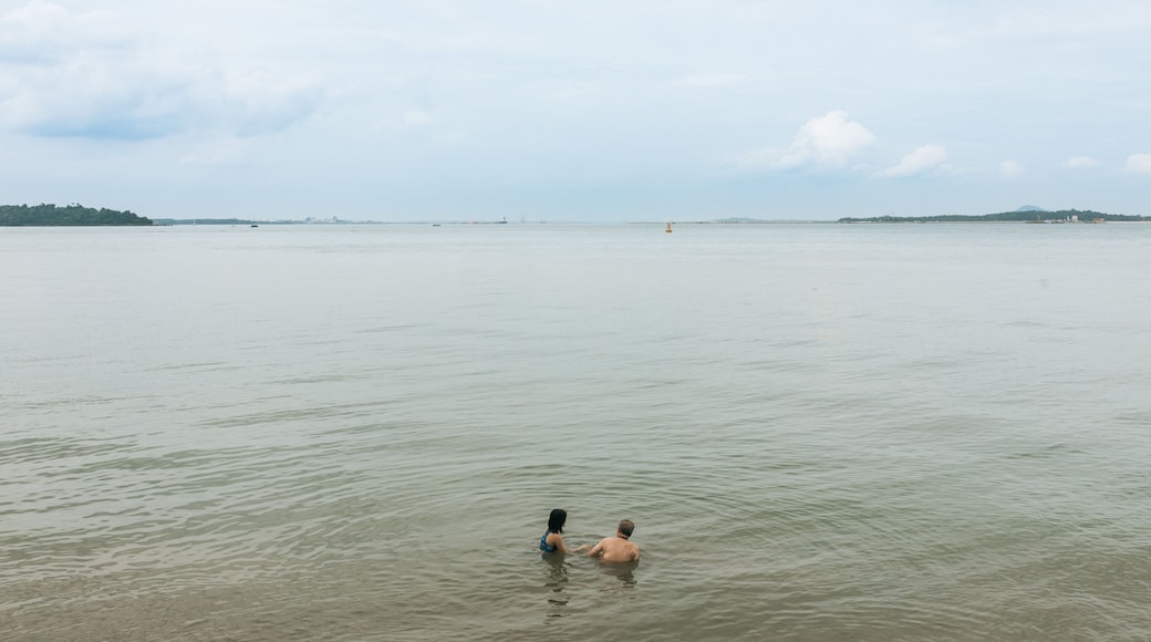 Changi Beach Park which includes swimming and general coastal views as well as a couple