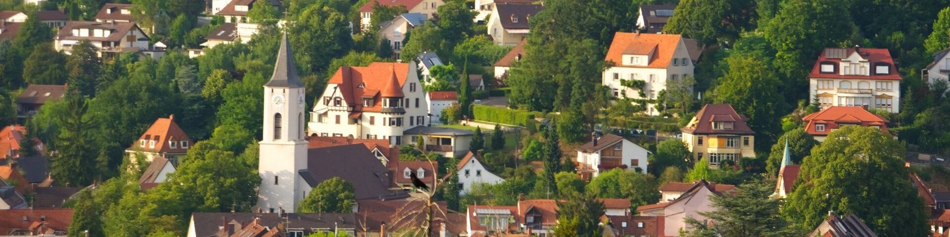 A hillside village with houses, a church, and dense forest.