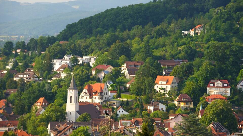 A hillside village with houses, a church, and dense forest.