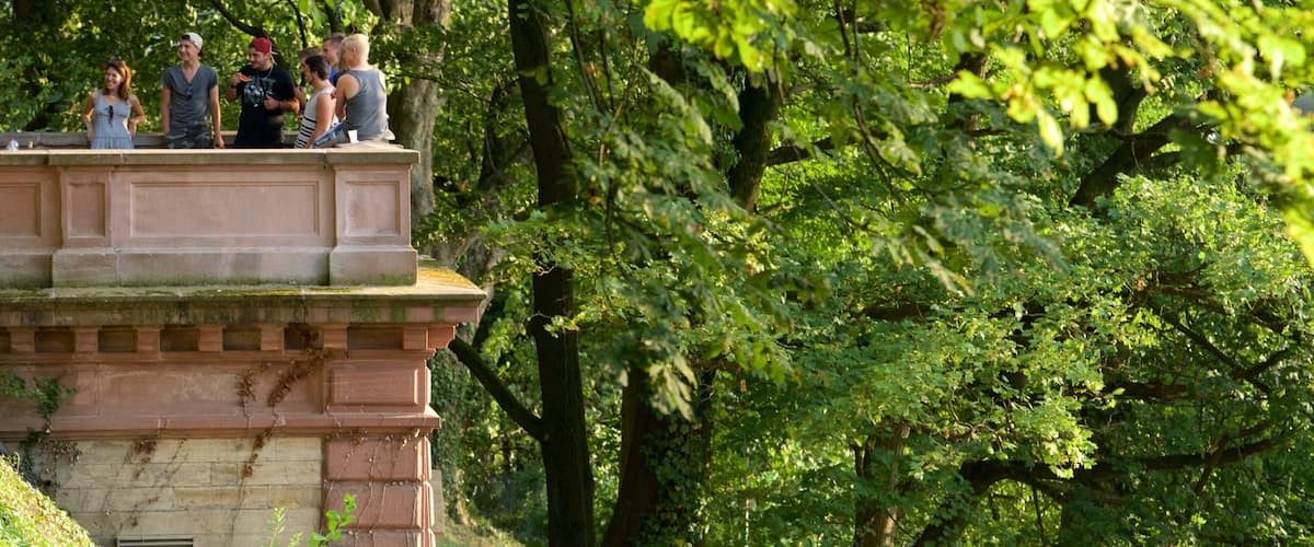 Schlossberg showing a park and views
