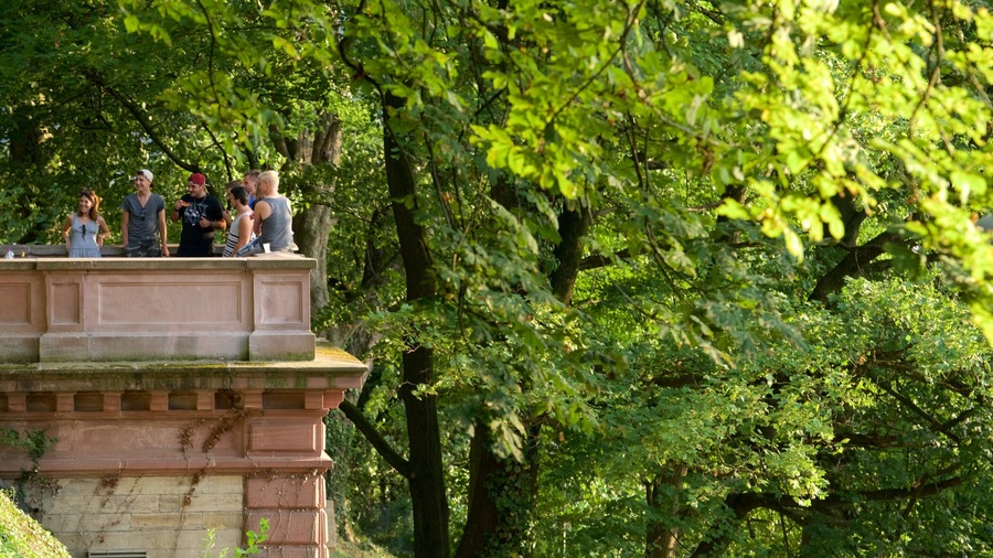 Schlossberg featuring views and a park