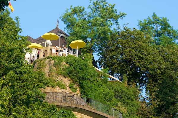 Mont du Château qui includes parc et vues