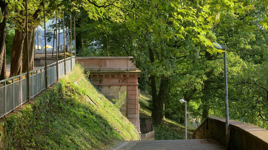 Schlossberg mostrando un parque