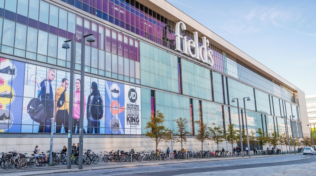 Centro comercial Fields