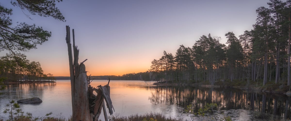A serene lakeside scene with a prominent fallen tree trunk in the foreground, surrounded by dense forest and calm water reflecting the sunset.