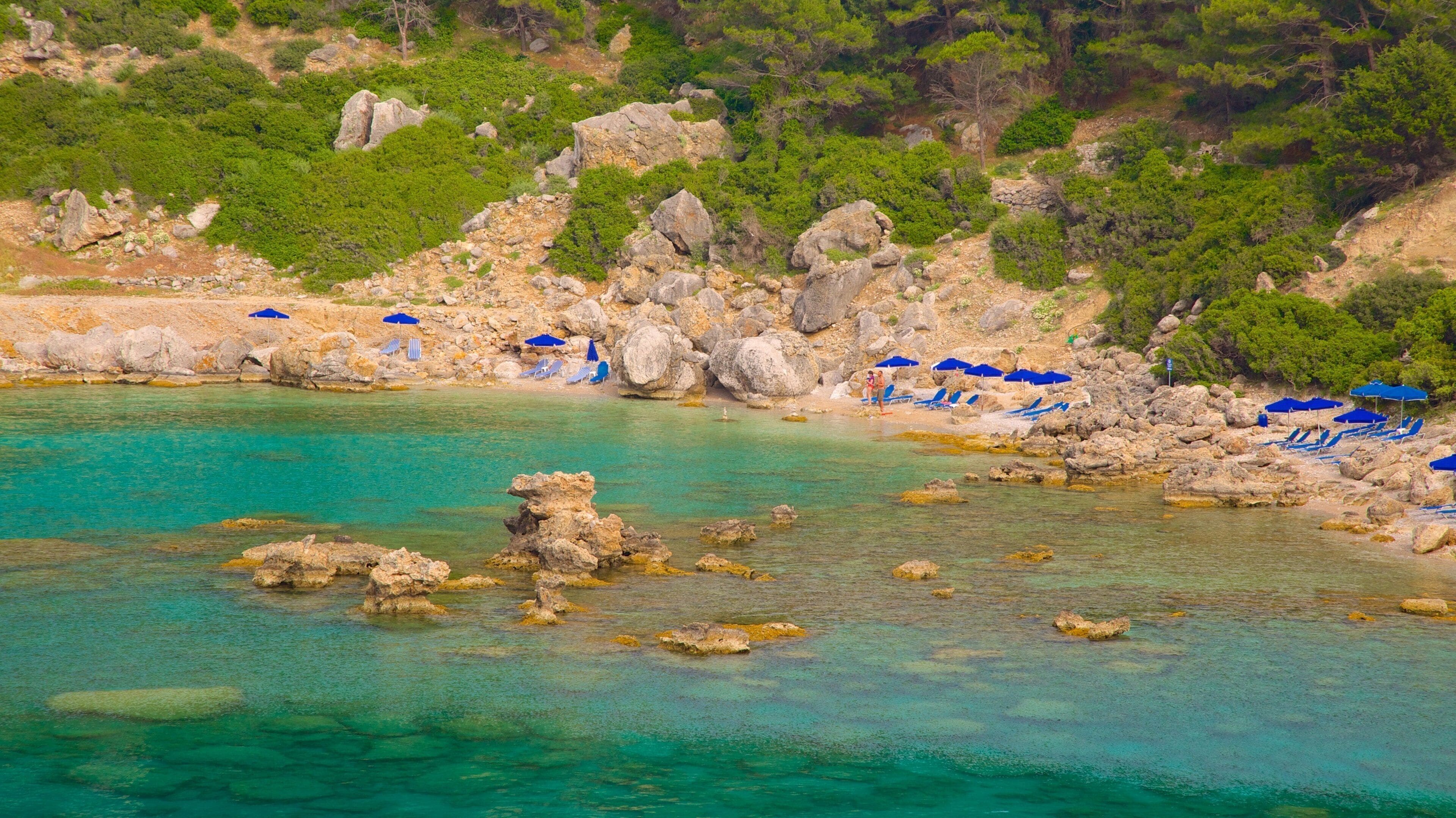 Anthony Quinn Bay which includes rocky coastline