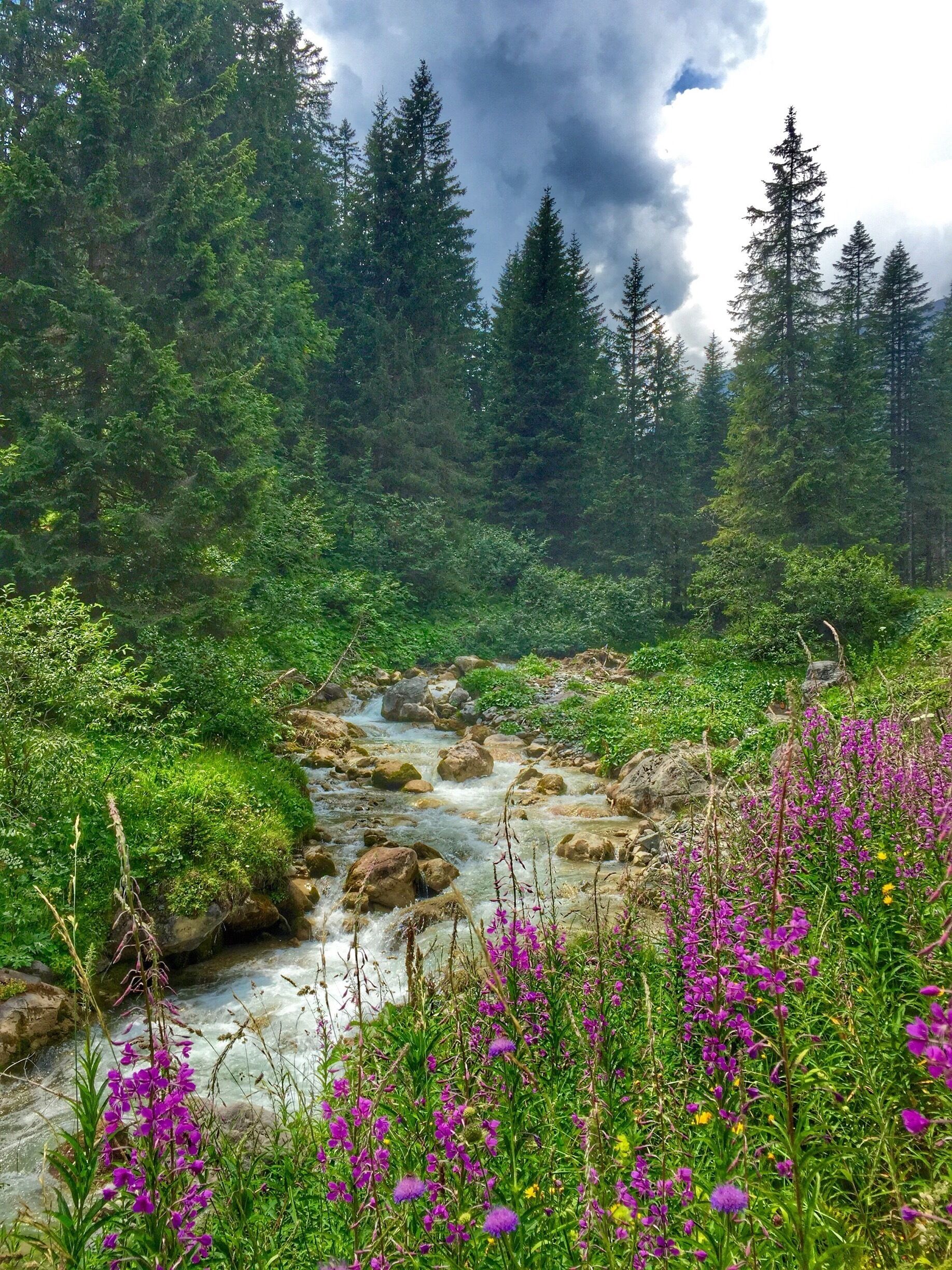 Mountain river in a small valley in Austria..