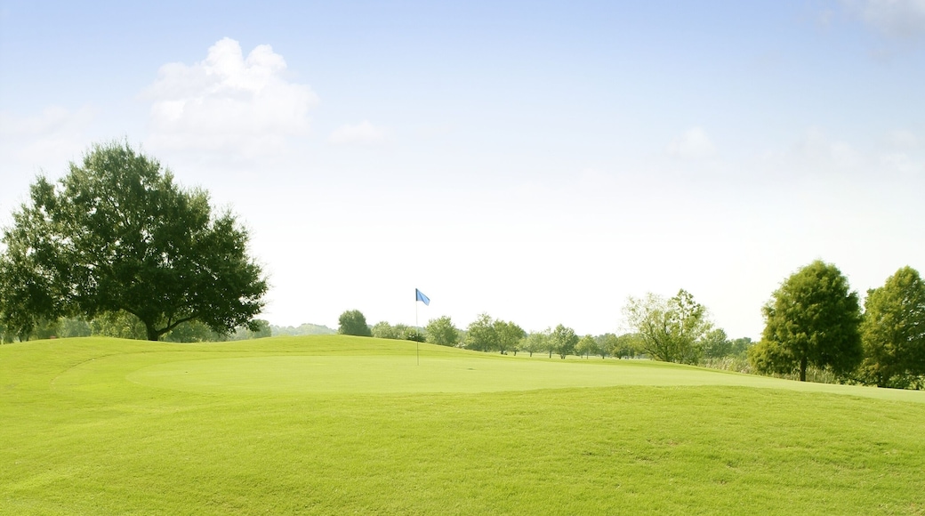 休士敦高爾夫俱樂部