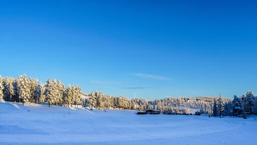 Ski trails in a beautiful landscape in Orsa, Sweden