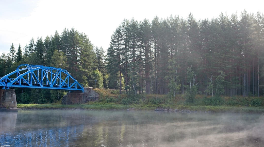 A foggy morning near a river early september in the Vansbro kommun in Dalarna,Sweden.